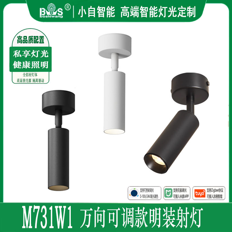 M731W1万向 明装射灯30.jpg