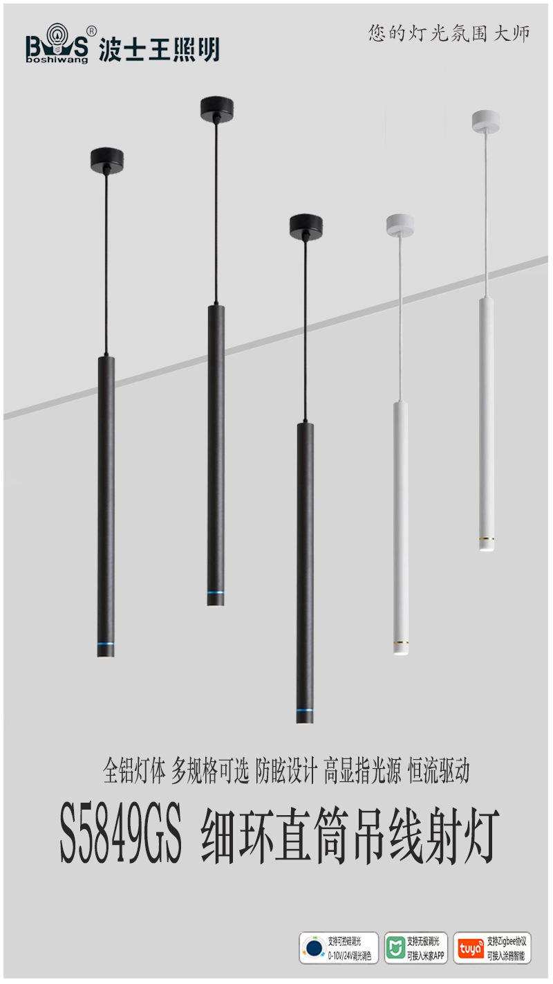 S5849GS细环 吊线筒射灯.jpg