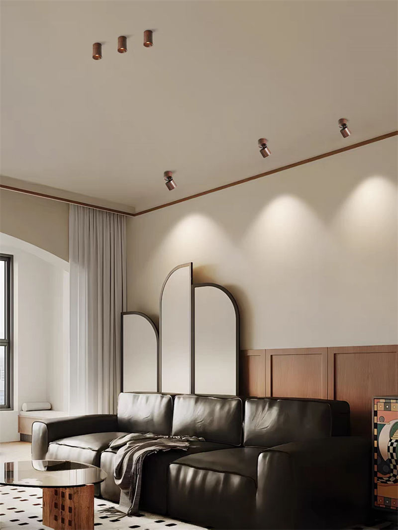 S5050LY太空眼 明装折叠 中古风15.jpg