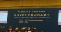 百搜新腾承办：2015 《首届金融信用建设创新峰会》圆满落幕