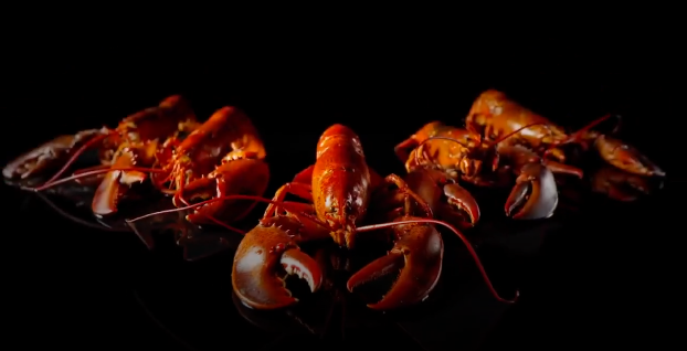 美食，是一次美好旅行不可缺少的一部分。因为它会带来愉悦、温暖甚至志趣相投的朋友。——萨维尔御城