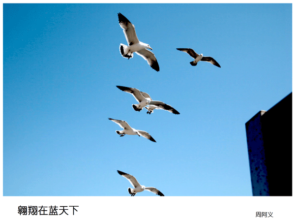 2019上期摄影班学员周阿义作品2