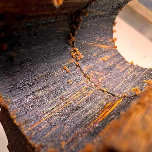 沉水沉香 沉水沉香