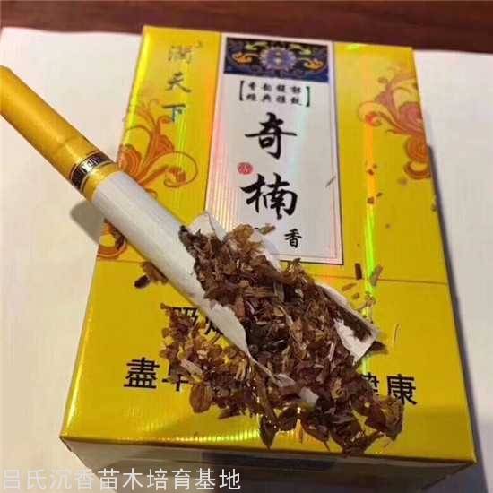 香港沉香奇楠香烟图片