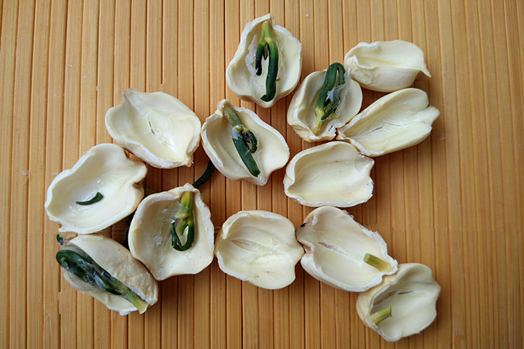 靓发家莲子的特点: 颜色微黄,表面有褶皱,(煮熟后饱满胀大)易煮