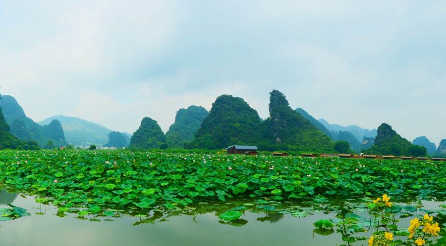 清遠樹屋天門溝九重天,九龍小鎮花海峰林,玻璃觀景平臺兩天賞景之旅