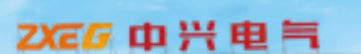 中兴电气（江苏）股份有限公司