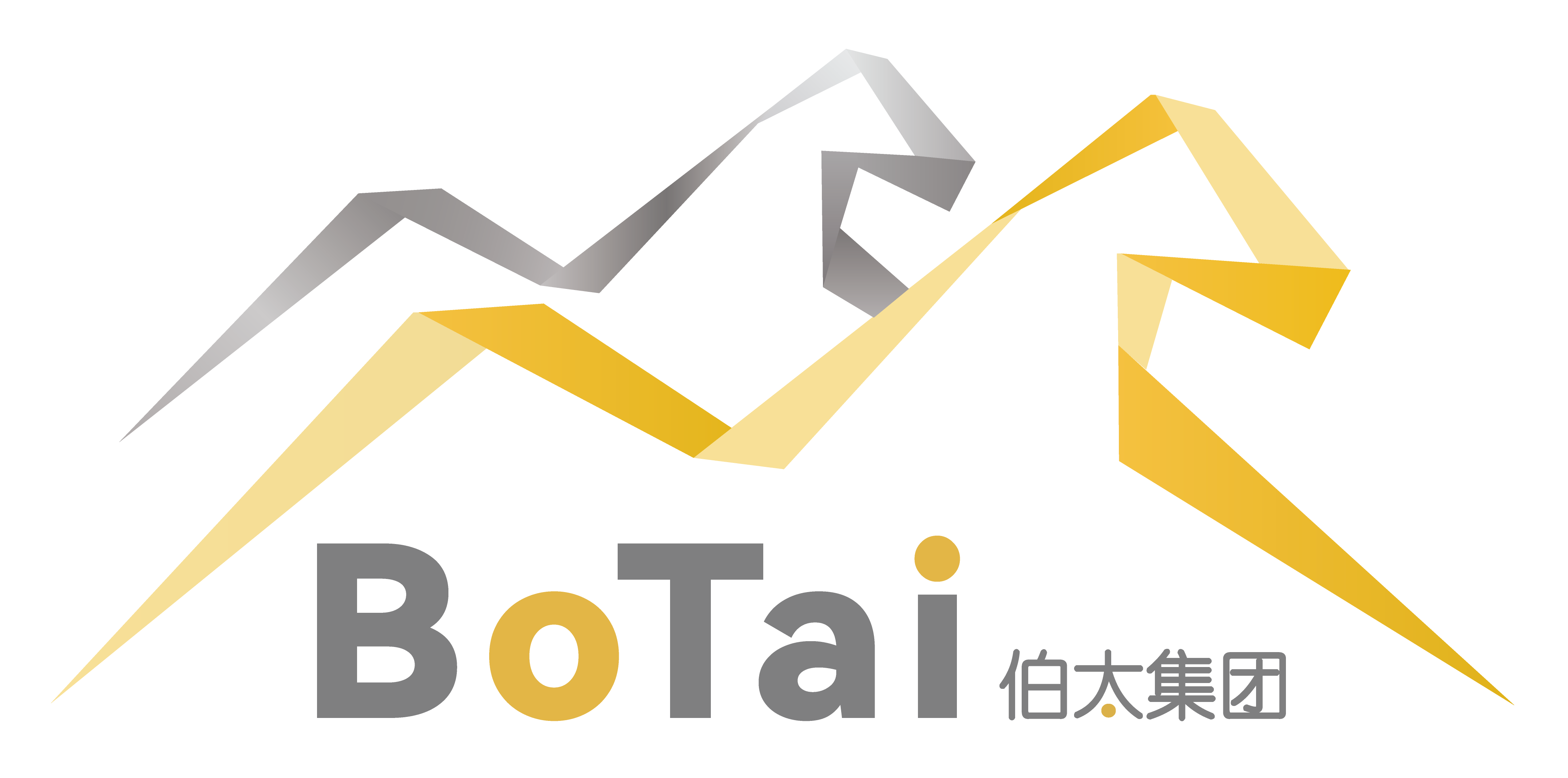 伯太集团