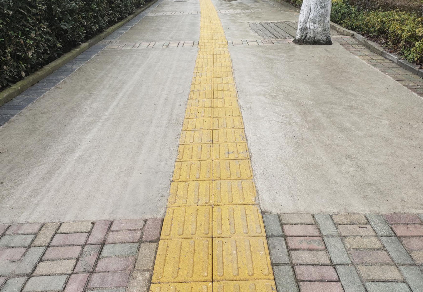 盲道砖