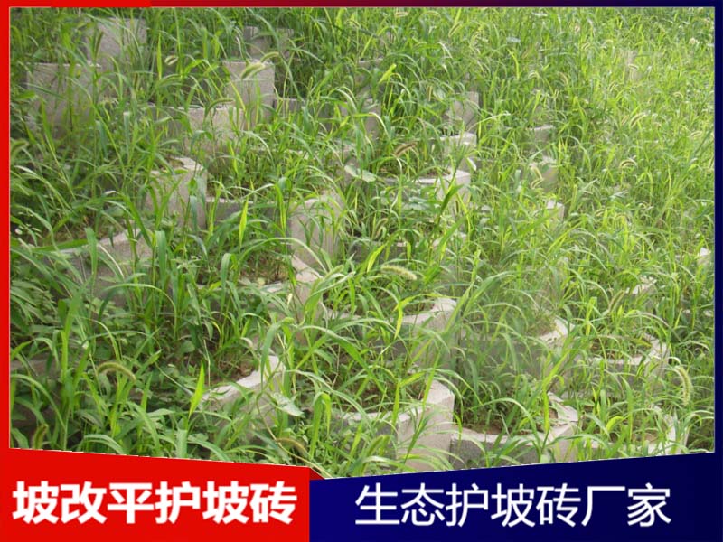 AHBRK-STHPZ023坡改平护坡砖