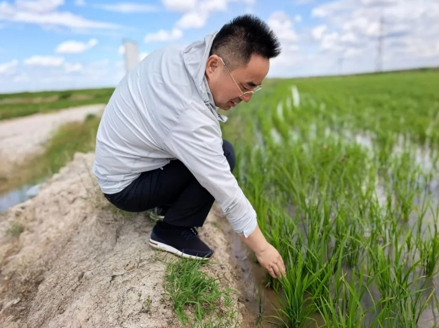 20250620164955_44962.png 2.png