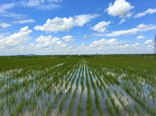 20250620165218_53357.png 3.png