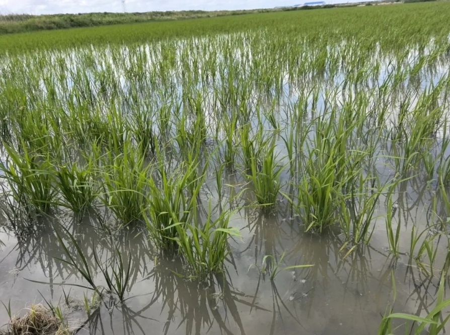 20250620165256_38867.png 22.png