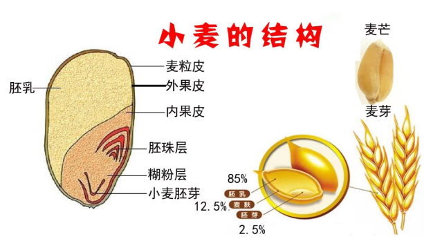 20260226164629_42177.png image.png