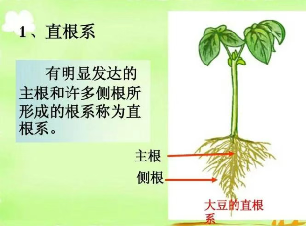 20260327161011_24643.png image.png