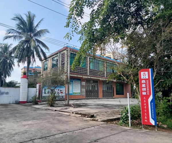 文昌迈号一二三胡椒产业融合示范基地