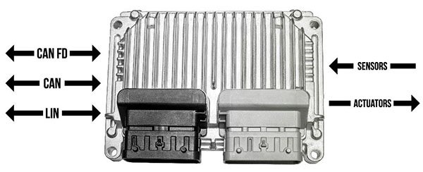 20220518130706_58026.jpg ECU-Automotive.jpg