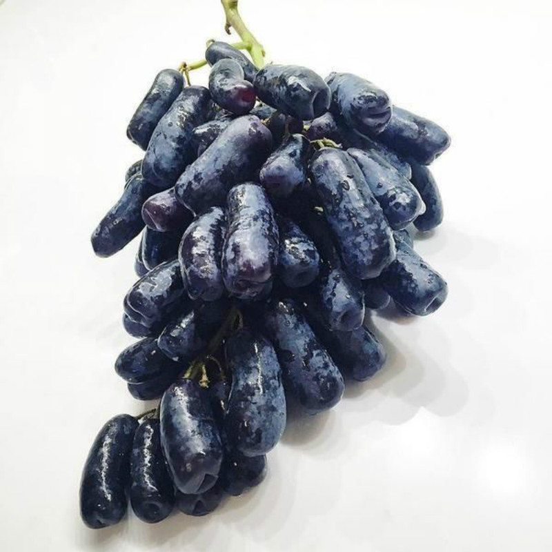 澳洲进口无籽黑提 黑加仑金手指