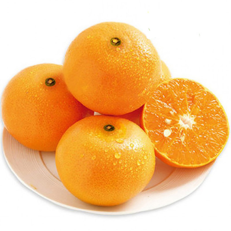 广西茂谷柑新鲜沃柑橘子水果桔子