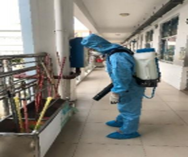 合肥某小学消杀除虫