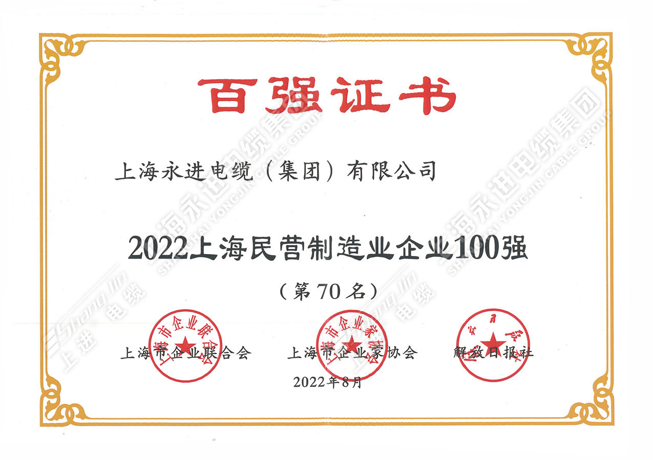 上海民营制造业企业100强