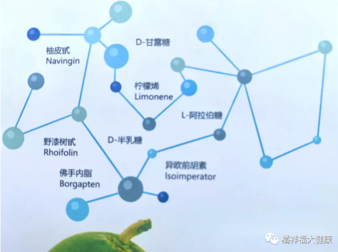 20210926173009_80262.png image.png