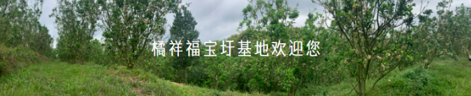 20220522094124_46976.png image.png