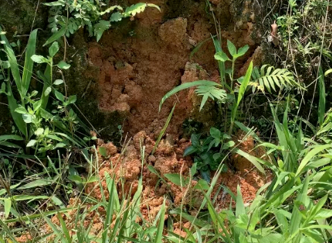 20220522111351_87537.png image.png