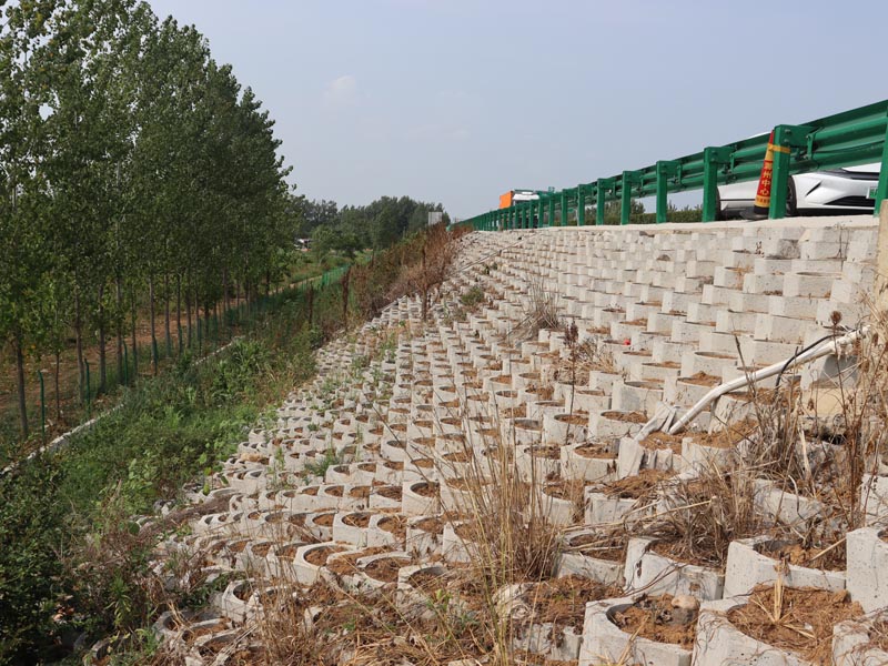 坡改平护坡六棱砖案例