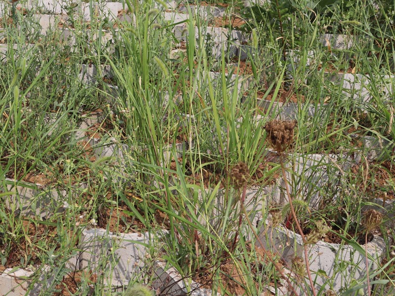 20250806221935_31299.jpg 81.jpg