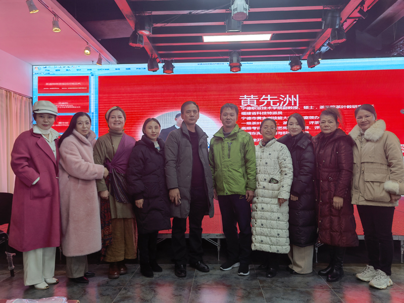 茶道师初阶课程