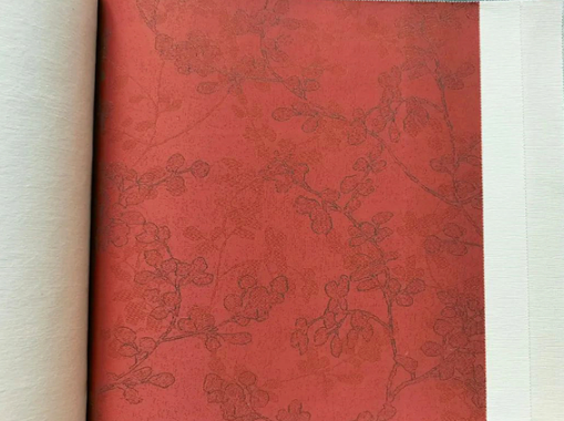 Cloud Zoom small image