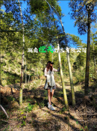 20240612191631_69323.png image.png