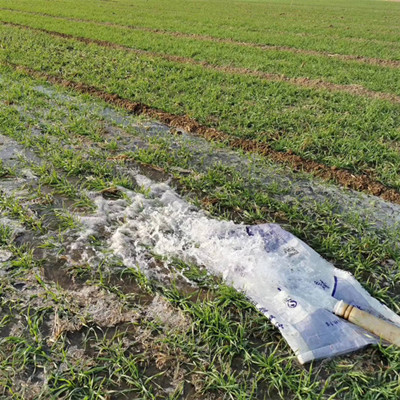 抵御高温的茄子种植秘籍：如何科学浇水、控制气温？