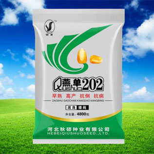 Cloud Zoom small image