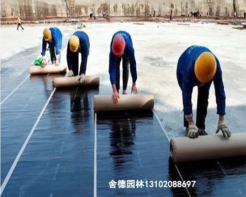 天津屋顶防水，油毡防水，天津屋顶绿化，防水工程