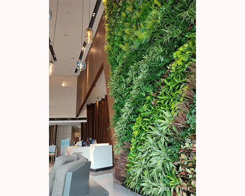 雄安新区希尔顿酒店植物墙，不锈钢植物墙，舍德园林（天津）
