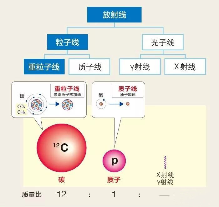 临床试验证实 质子治疗癌症毒性显著低于常规放疗 成都瑞庚医疗科技咨询有限公司