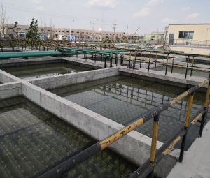 山东某化工有限公司