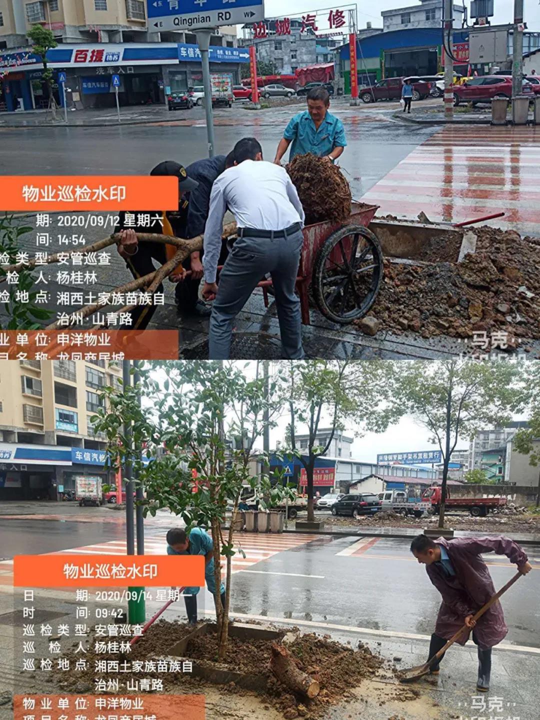 20200927140649_48305.jpg 15.jpg