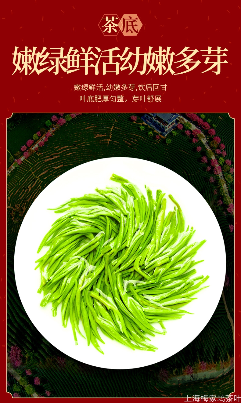 BL-碧螺春茶师村礼盒2罐200g-V5_11.jpg