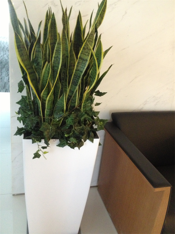 Cloud Zoom small image