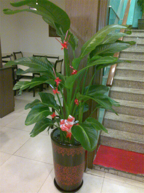 Cloud Zoom small image