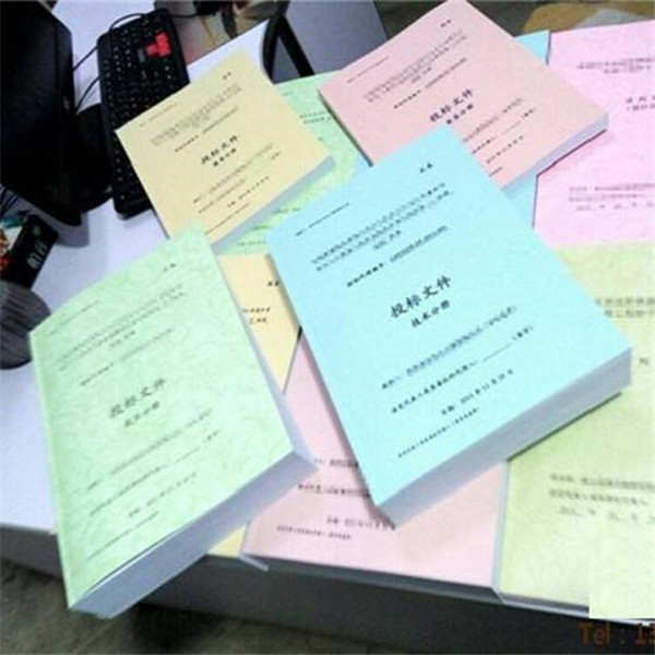 纸质版标书案例