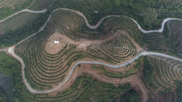 3-.jpg