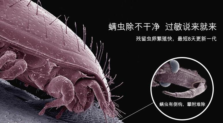 20210927154611_10656.jpg 640.jpg