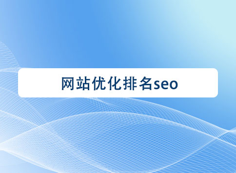 網(wǎng)站優(yōu)化排名seo