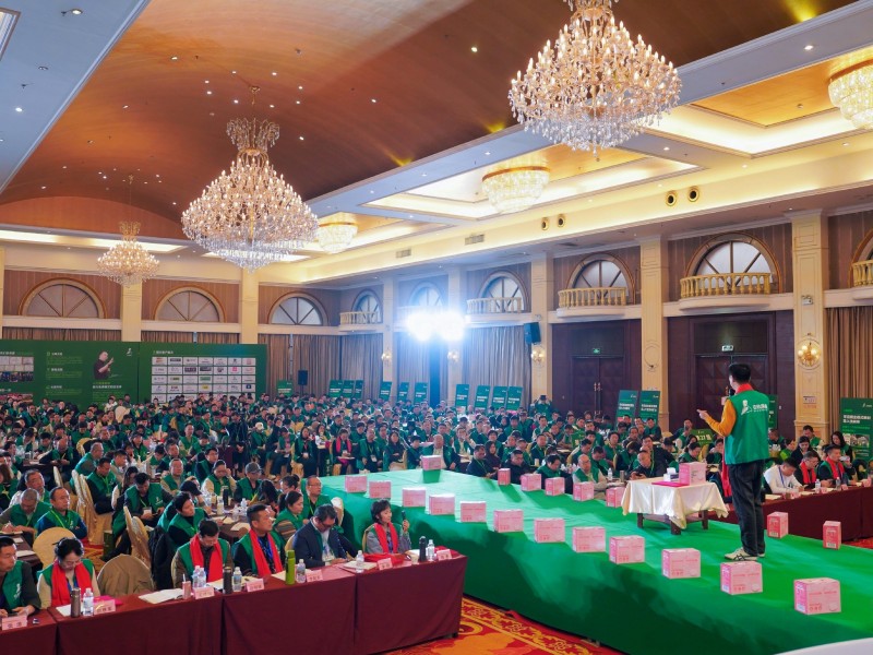 可持续发展理念下的营销模式：从4P到11P