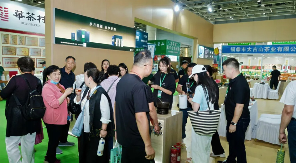 20250711114048_36185.jpg 5.jpg