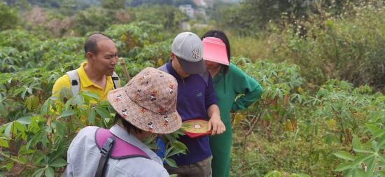 20251119170717_28246.jpg 1722005447910(1).jpg